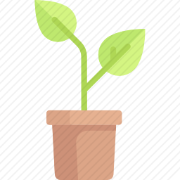 植物