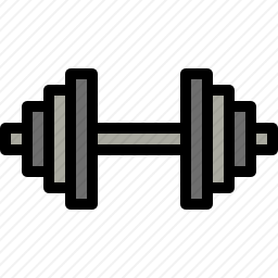 <em>哑铃</em>