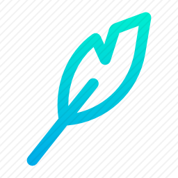 羽毛<em>笔</em>