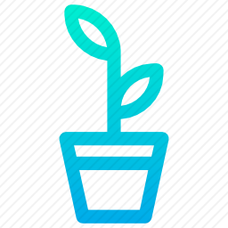 植物