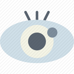 查看