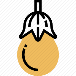 茄子