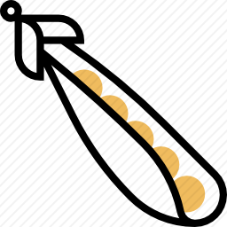 豌豆