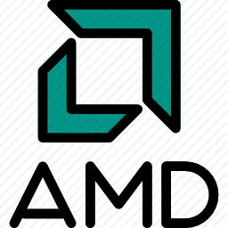 <em>AMD</em>