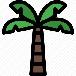 棕榈树