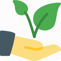 植物