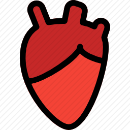 <em>心脏</em>