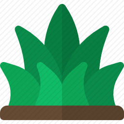 草