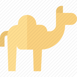 <em>骆驼</em>