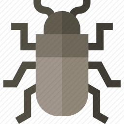 <em>甲虫</em>