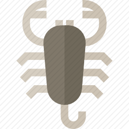 蝎子