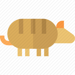 犰狳