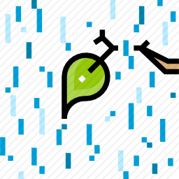 雨