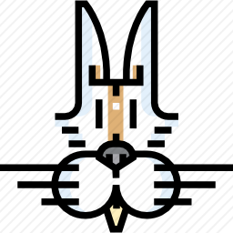 兔子
