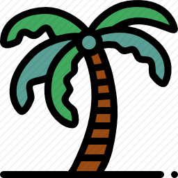 棕榈树