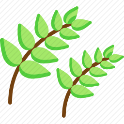 <em>小麦</em>