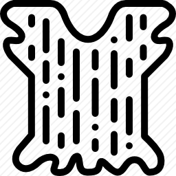 动物毛皮