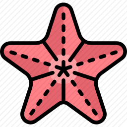 海星