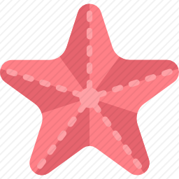 海星