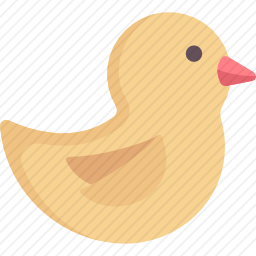 鸭子