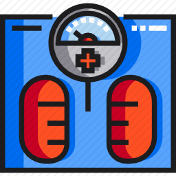 <em>体重秤</em>