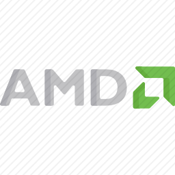 <em>AMD</em>