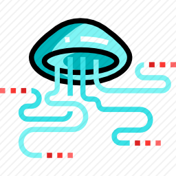 <em>水母</em>
