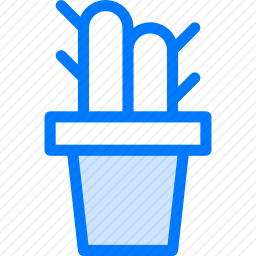 <em>仙人掌</em>