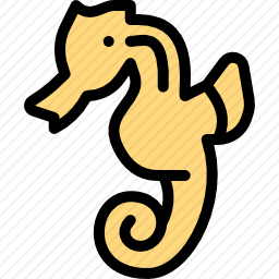 <em>海马</em>
