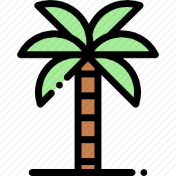 棕榈树