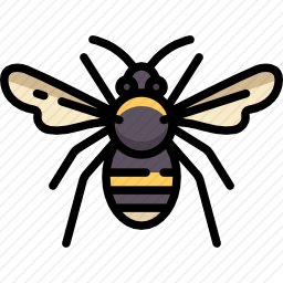 <em>蜜蜂</em>