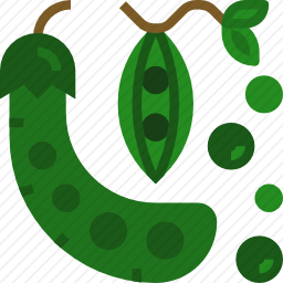 豌豆
