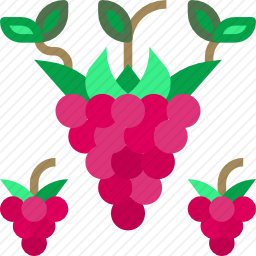 <em>覆盆子</em>