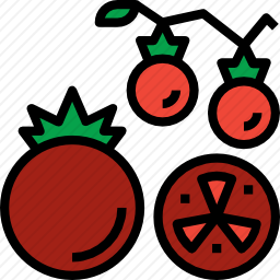 <em>番茄</em>