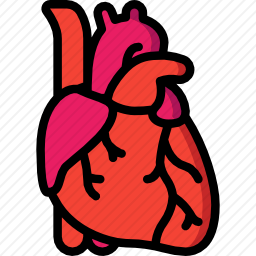 <em>心脏</em>