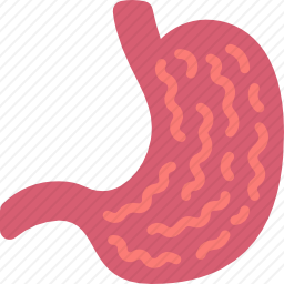 胃