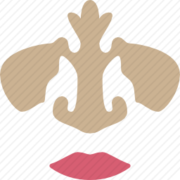 鼻子