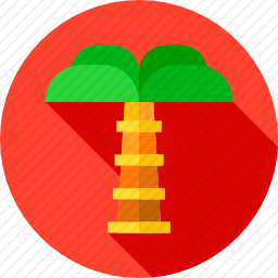 <em>棕榈树</em>