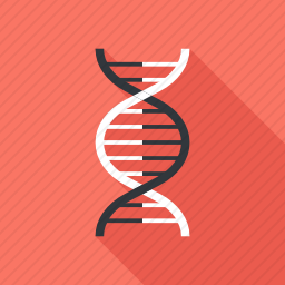 DNA