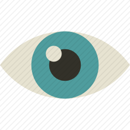 查看