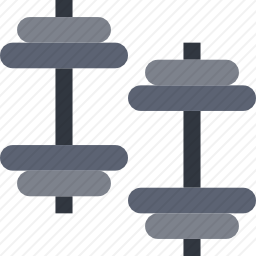 <em>哑铃</em>