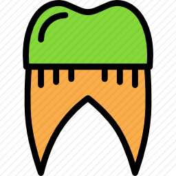 <em>牙齿</em>