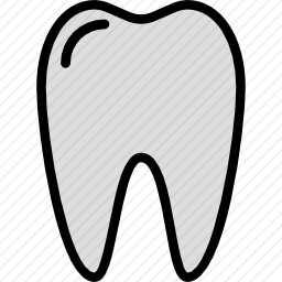 <em>牙齿</em>