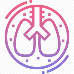 <em>肺</em>