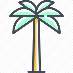 棕榈树
