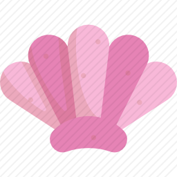 贝壳