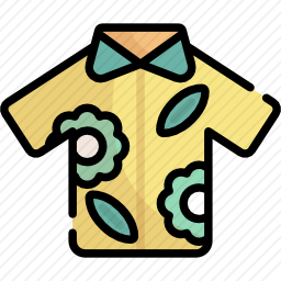 <em>衬衫</em>