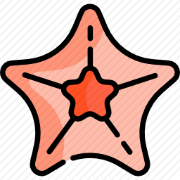 海星