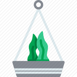 植物