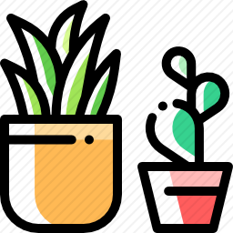 <em>植物</em>